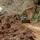 Corozal Road Clearance