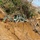 Corozal Road Clearance