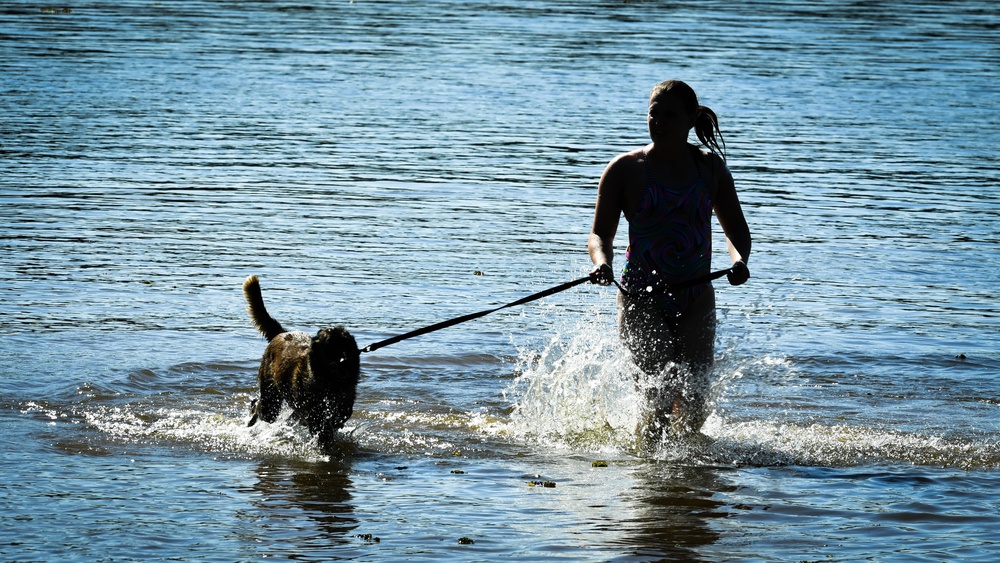 Nowhere to Run: MWDs get paws wet