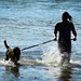 Nowhere to Run: MWDs get paws wet