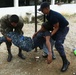 SPS 17 Troops Hold Medical Exchange with Guatemalan Sailors