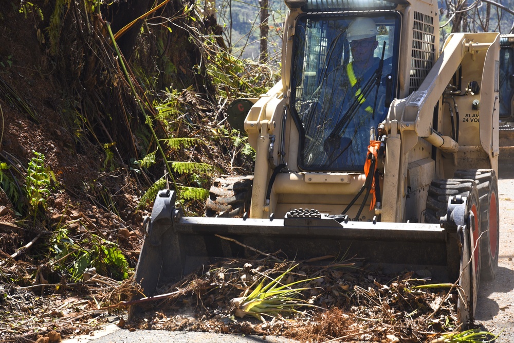 Road Clearance