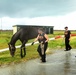 ASPCA Tends to Horses that are roaming the streets in St. Croix