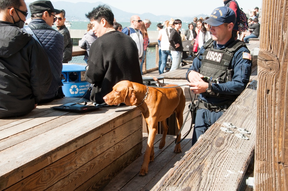 Coast Guard conducts pier sweeps during San Francisco Fleet Week