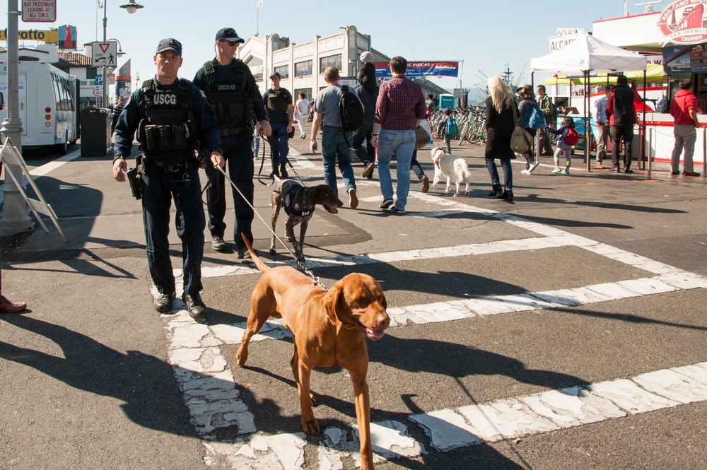 Coast Guard conducts pier sweeps during San Francisco Fleet Week