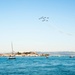 Air Show at Fleet Week San Francisco