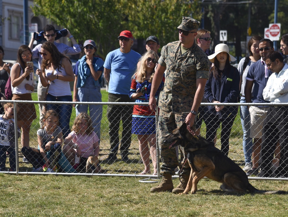 K9 Heroes Bark in the Park During Fleet Week San Francisco