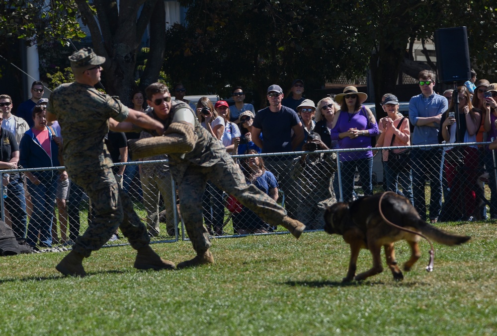 K9 Heroes Bark in the Park During Fleet Week San Francisco