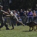 K9 Heroes Bark in the Park During Fleet Week San Francisco