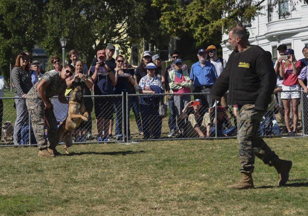 K9 Heroes Bark in the Park During San Francisco Fleet Week