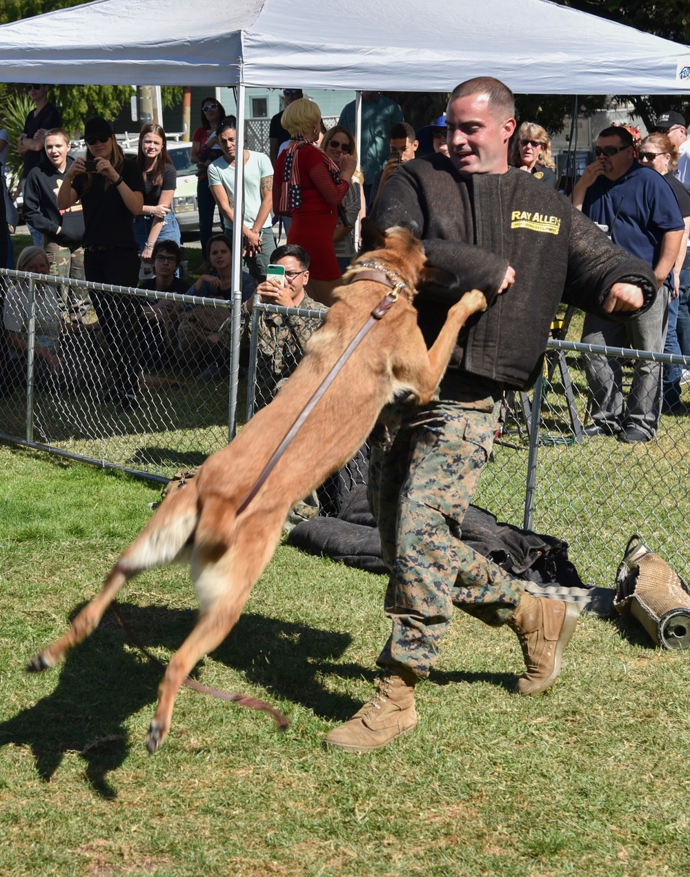 K9 Heroes Bark in the Park During Fleet Week San Francisco