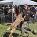 K9 Heroes Bark in the Park During Fleet Week San Francisco