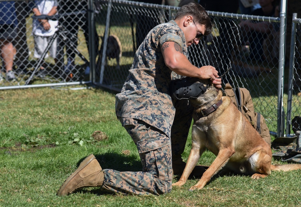 K9 Heroes Bark in the Park During Fleet Week San Francisco