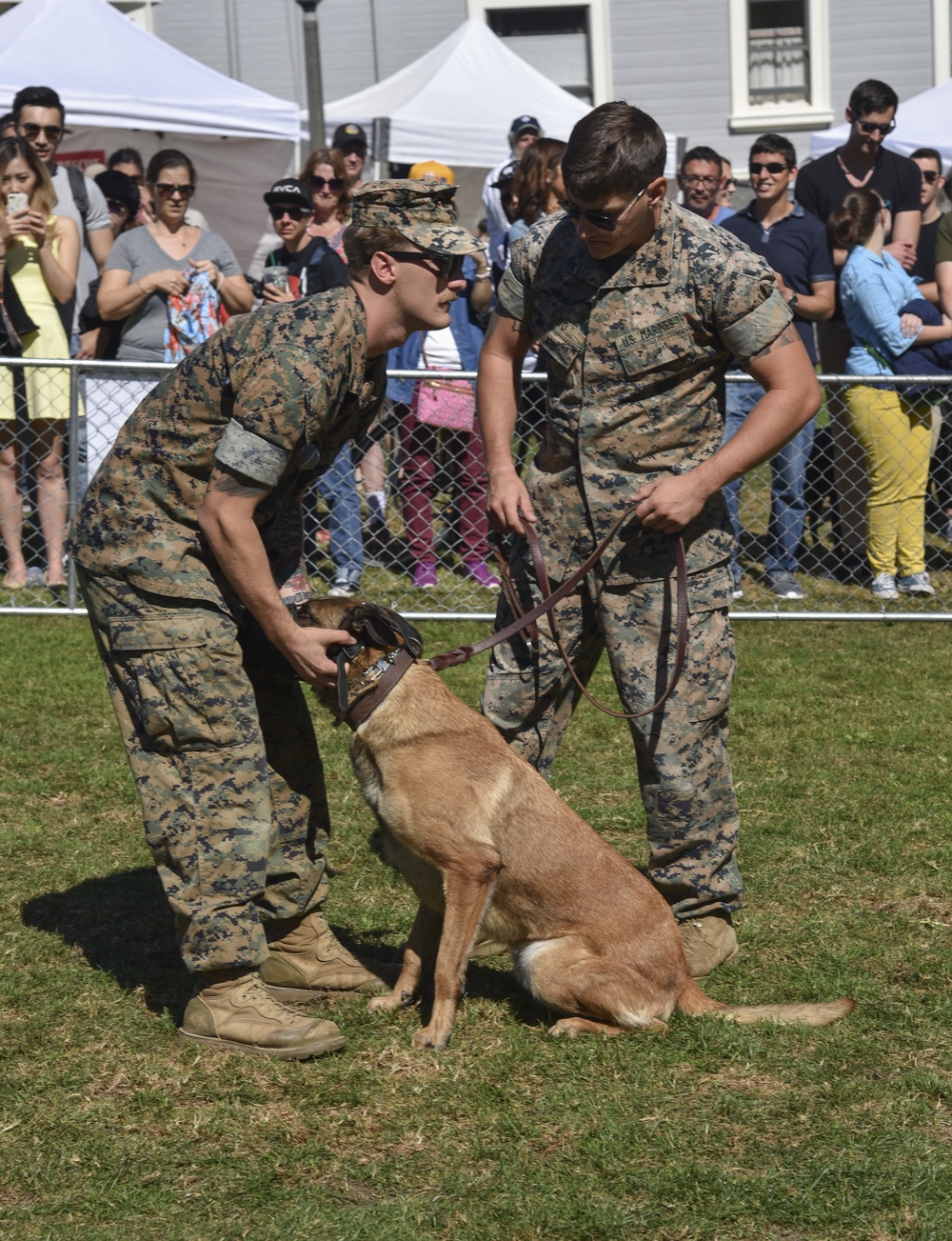 K9 Heroes Bark in the Park During Fleet Week San Francisco