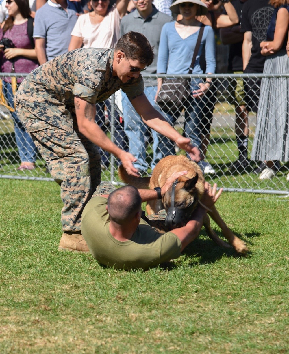 K9 Heroes Bark in the Park During Fleet Week San Francisco