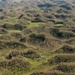 Hurricane Maria