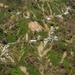 Hurricane Maria