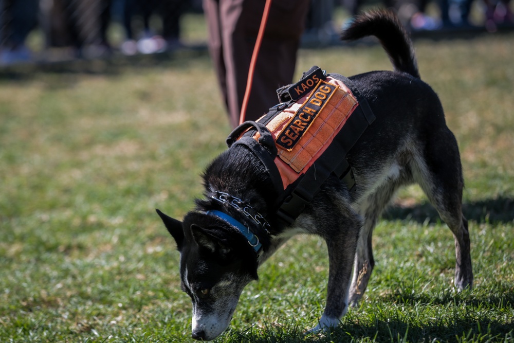 K9 Heroes Bark at the Park