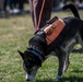 K9 Heroes Bark at the Park