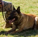 K9 Heroes Bark at the Park