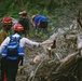 U.S. National Forest Team Members Chop Down Trees