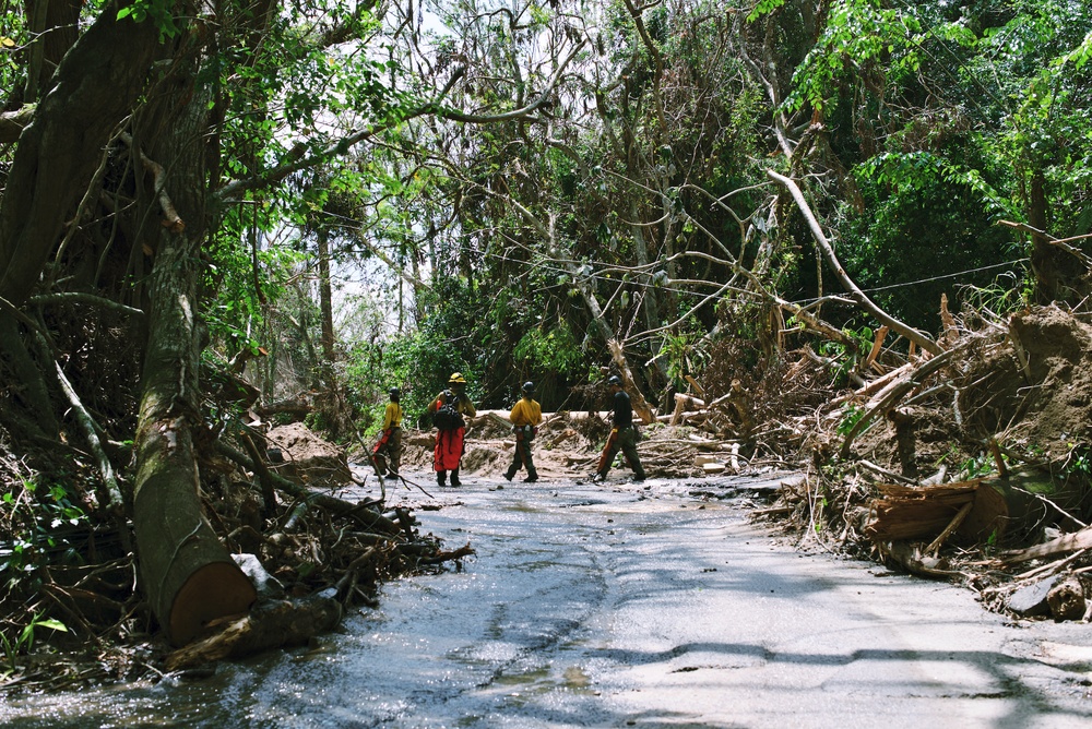 Clearing Out Roads