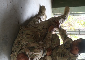 Security Platoon Trains for Tactical Environment