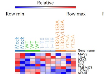 Bat Genes Graphic