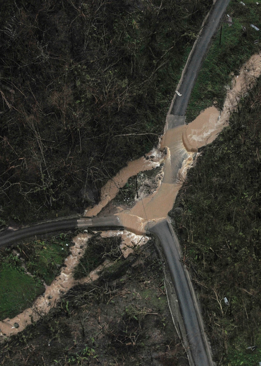 Aerial assessments provide insight for recovery in Puerto Rico