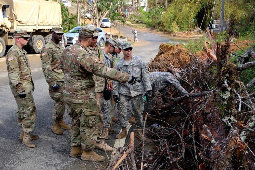 Cayey Road Clearance