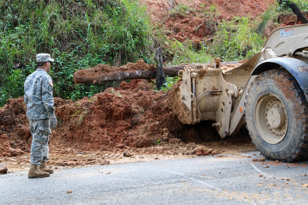 Cayey Road Clearance