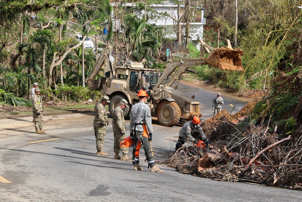 Cayey Road Clearance