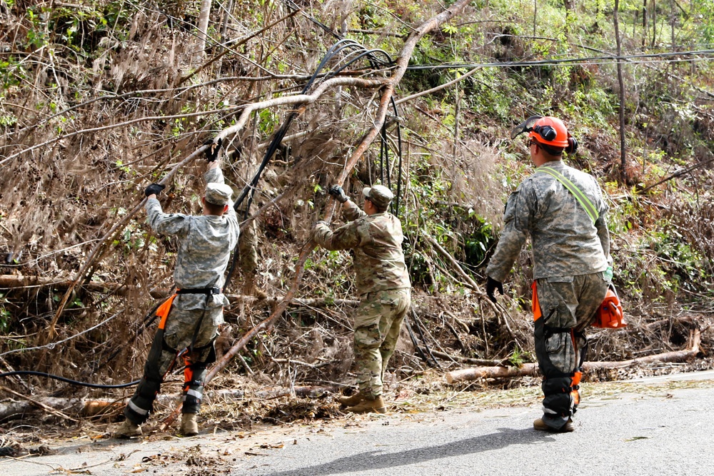 Cayey Road Clearance