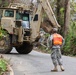 Cayey Road Clearance