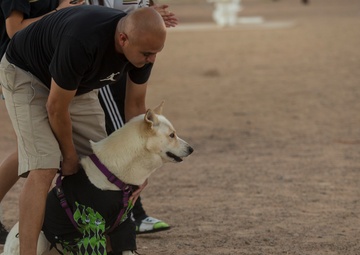 MCAS Yuma hosts Purple Paws for a Cause
