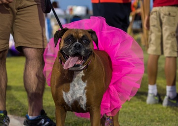 MCAS Yuma hosts Purple Paws for a Cause