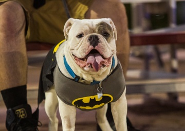 MCAS Yuma hosts Purple Paws for a Cause