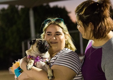 MCAS Yuma hosts Purple Paws for a Cause