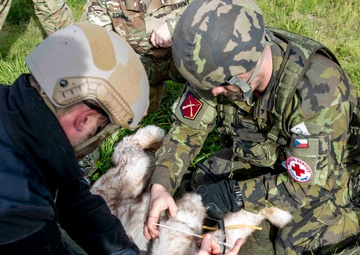 Military Working Dog First Aid - International Combat Life Savers