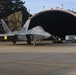 F22s Back in Europe