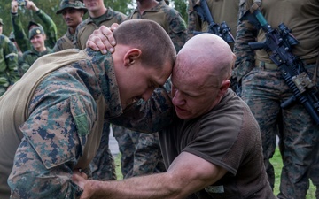 Marine Rotational Force Europe conduct ground fighting with the Swedish Armed Forces
