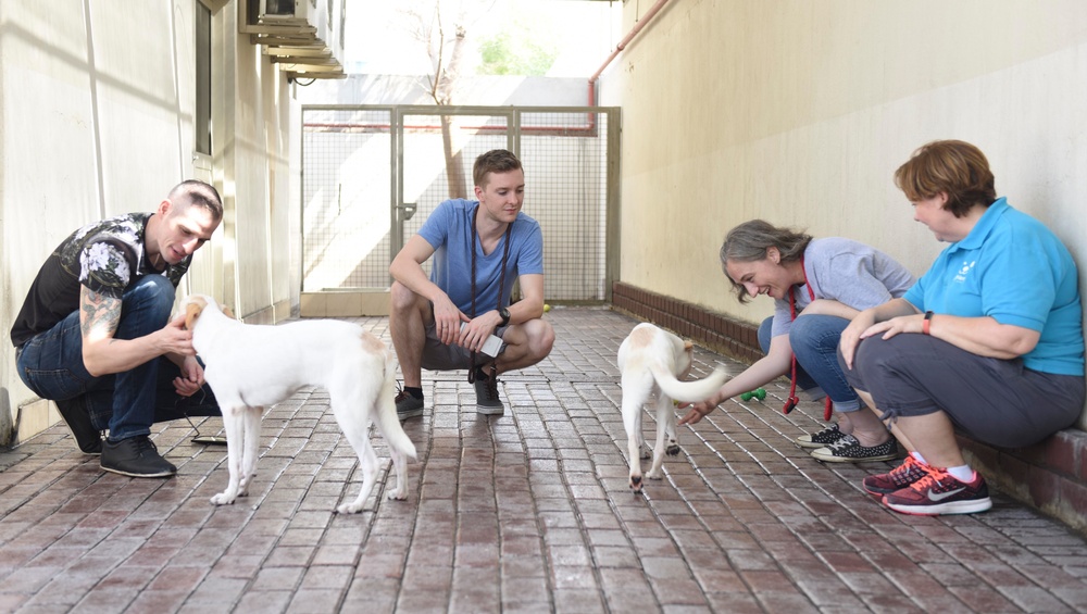 Nimitz Conducts Community Relations Event