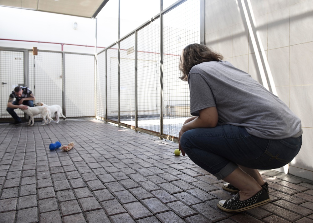 Nimitz Conducts Community Relations Event