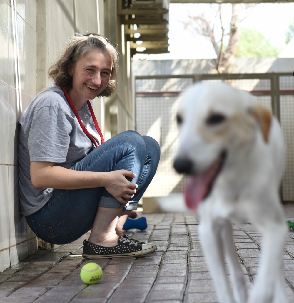 Nimitz Conducts Community Relations Event