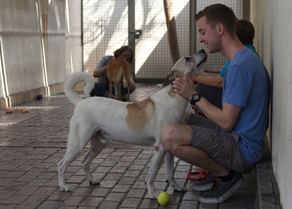 Nimitz Conducts Community Relations Event