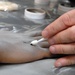 Moulage Training for Zombie Run