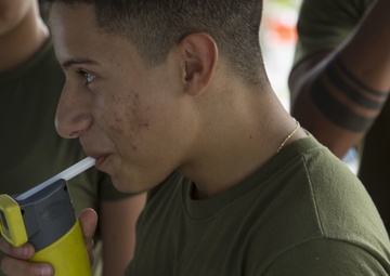 Fatal Vision Driving Simulation Course