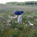 Surveys for endangered bumblebee held at installation
