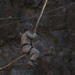 15th MEU participates in the French Desert Commando Course