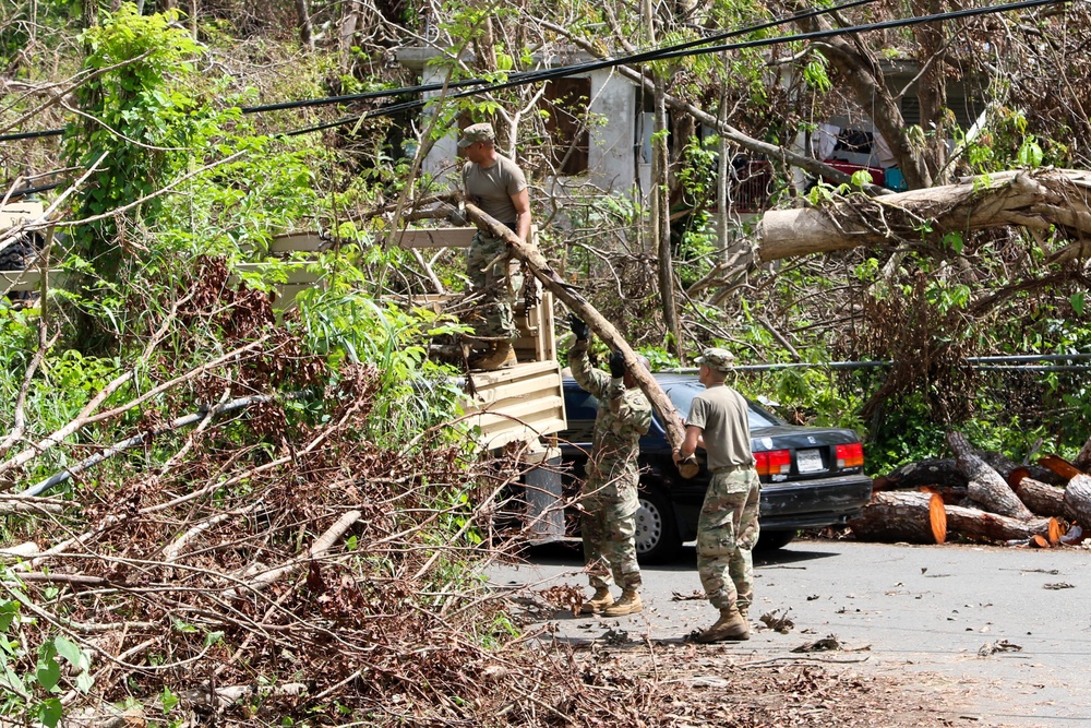 Road Clearance, Cupey &amp; Alta Mesa-San Juan